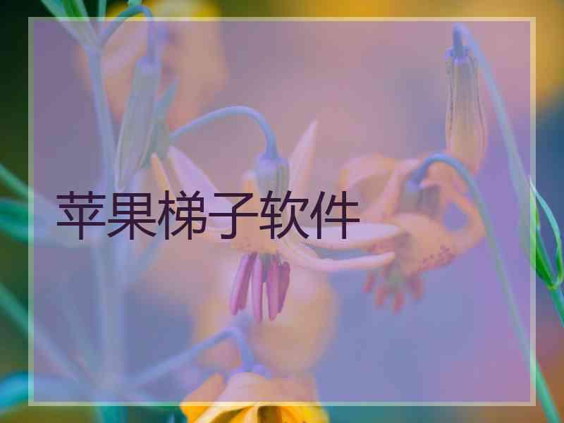 苹果梯子软件