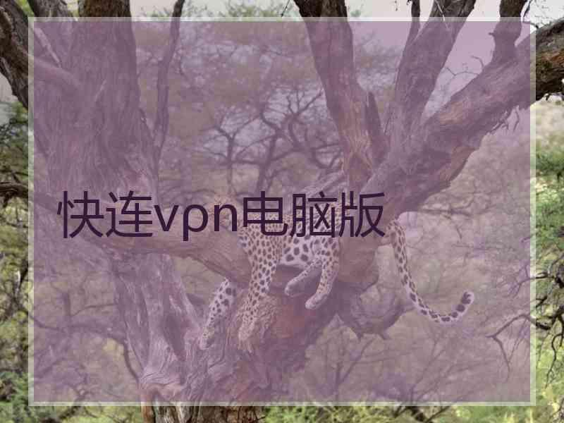 快连vρn电脑版