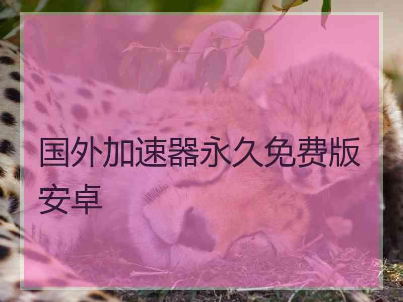 国外加速器永久免费版安卓