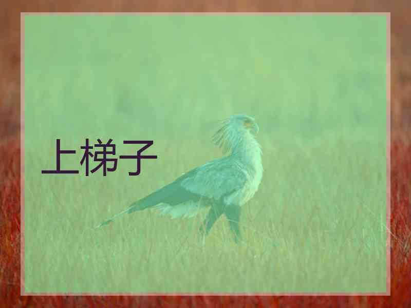 上梯子