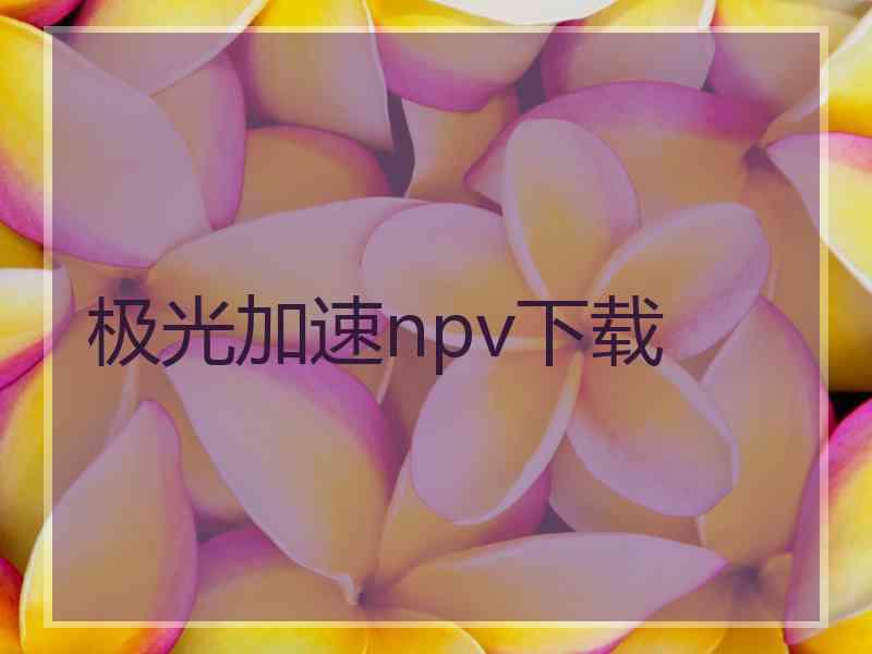 极光加速npv下载