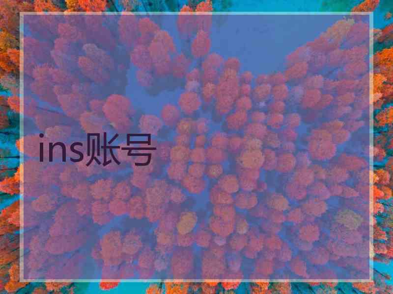 ins账号