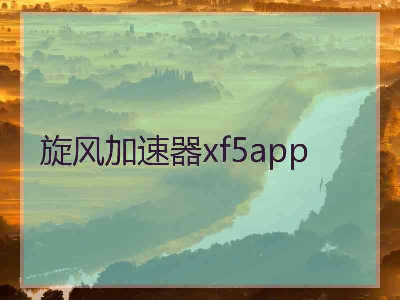 旋风加速器xf5app