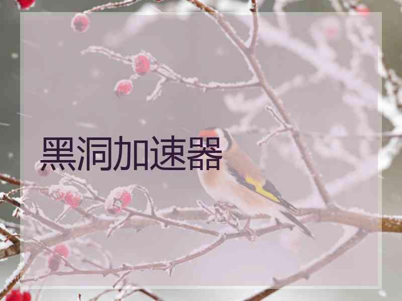 黑洞加速器