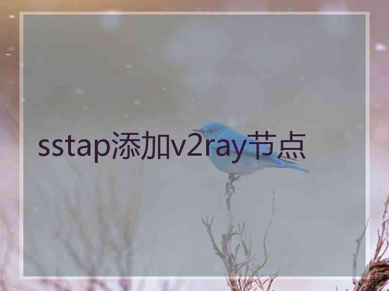 sstap添加v2ray节点