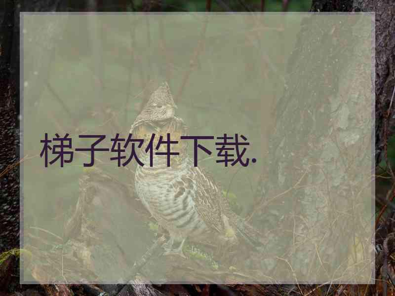 梯子软件下载.