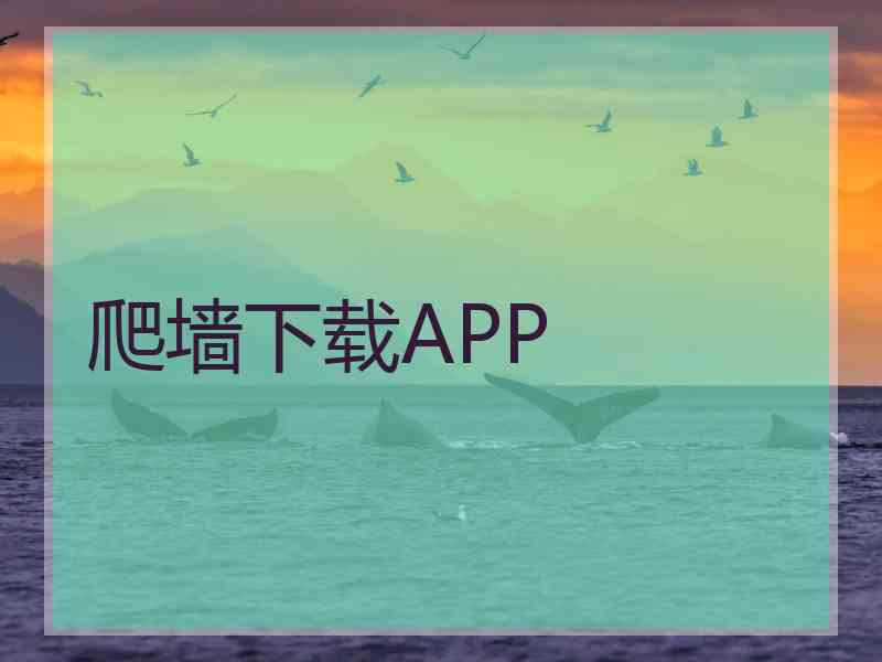 爬墙下载APP