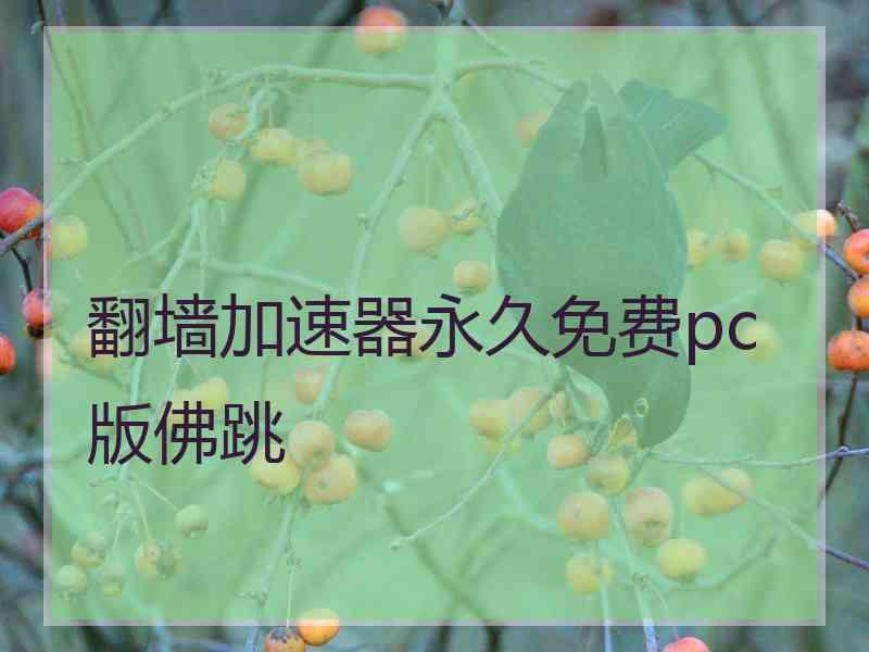 翻墙加速器永久免费pc版佛跳