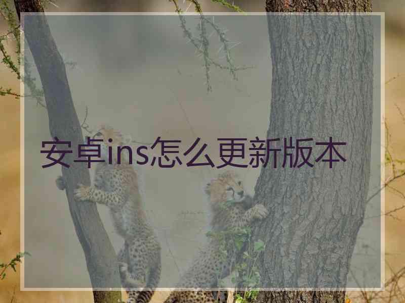安卓ins怎么更新版本