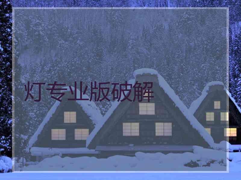 灯专业版破解