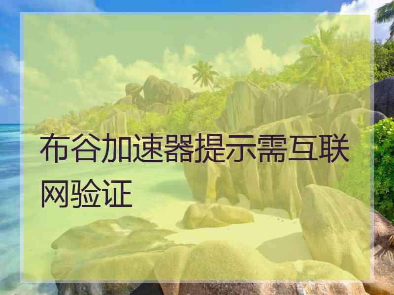 布谷加速器提示需互联网验证
