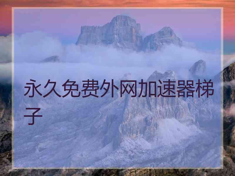 永久免费外网加速器梯子