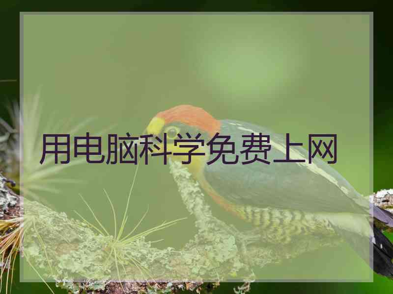 用电脑科学免费上网