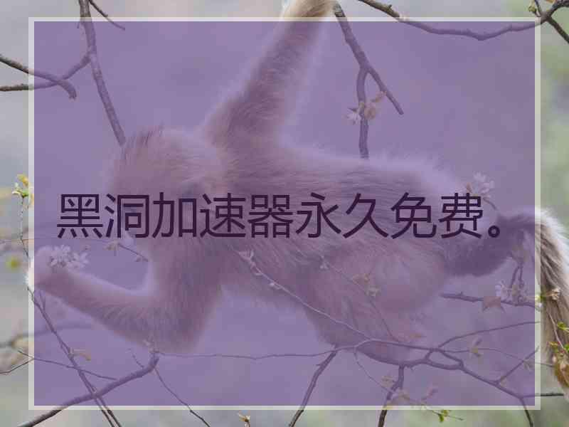 黑洞加速器永久免费。