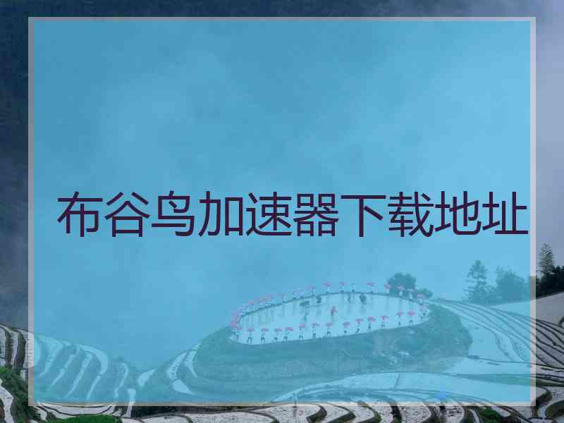 布谷鸟加速器下载地址