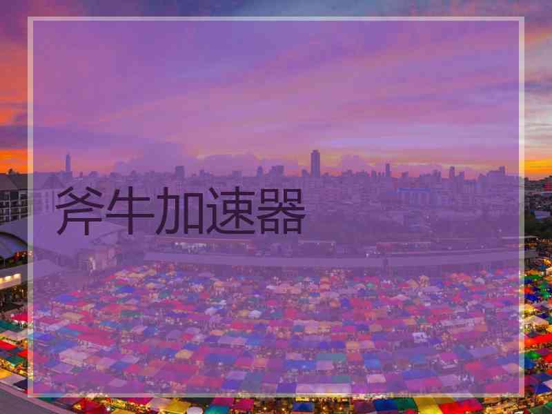 斧牛加速器