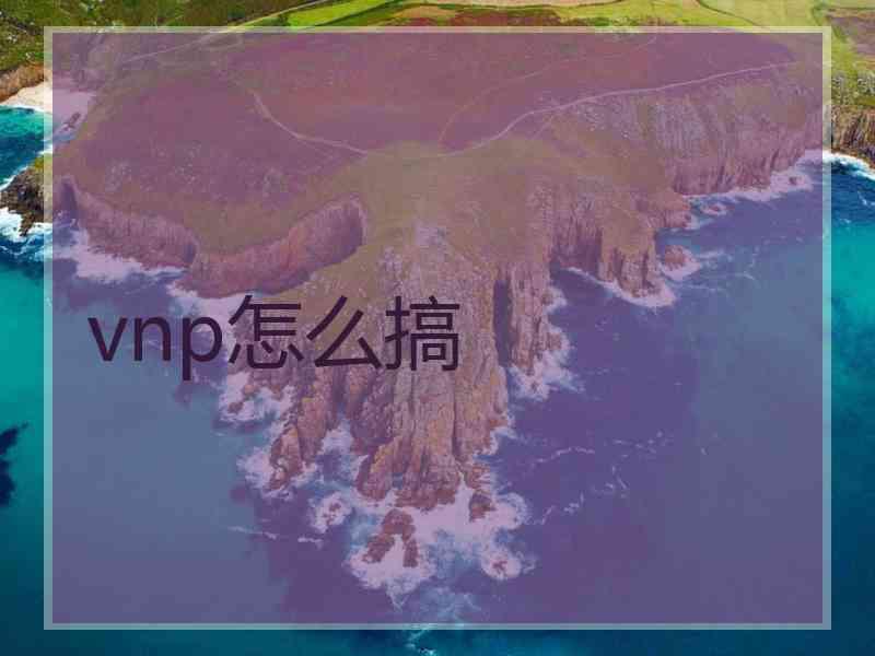 vnp怎么搞