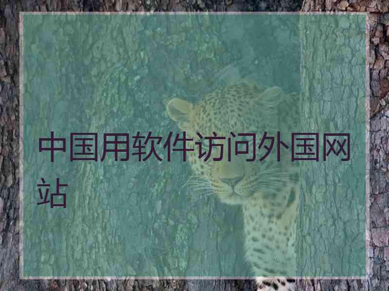 中国用软件访问外国网站