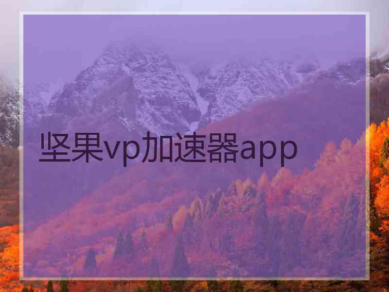 坚果vp加速器app