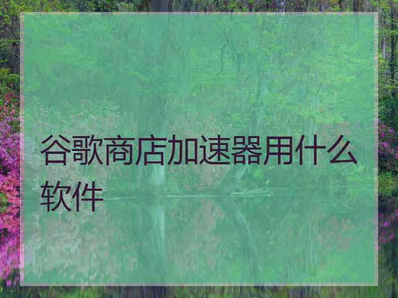 谷歌商店加速器用什么软件