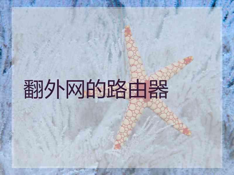 翻外网的路由器