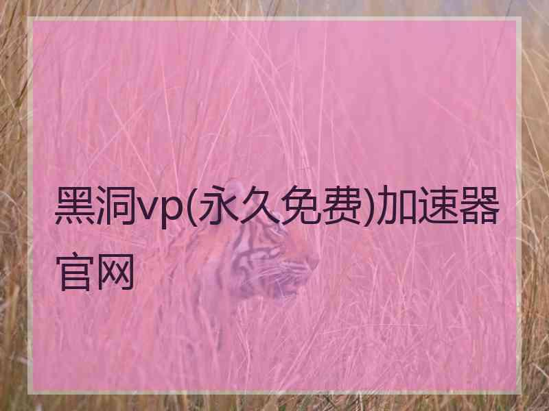 黑洞vp(永久免费)加速器官网
