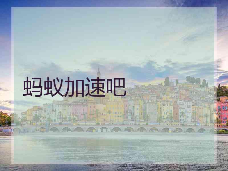 蚂蚁加速吧