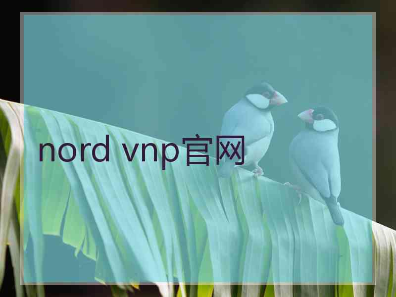 nord vnp官网