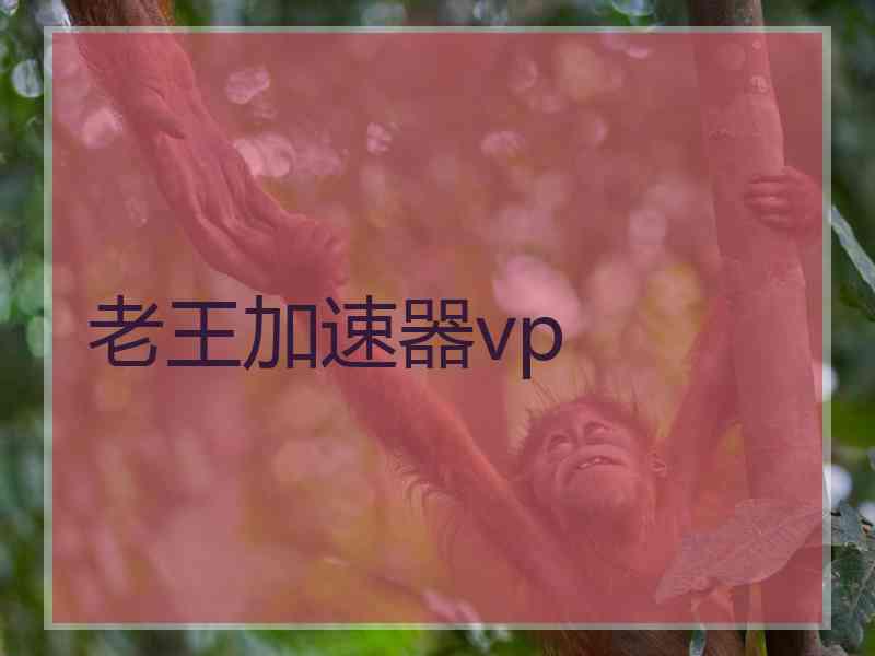 老王加速器vp