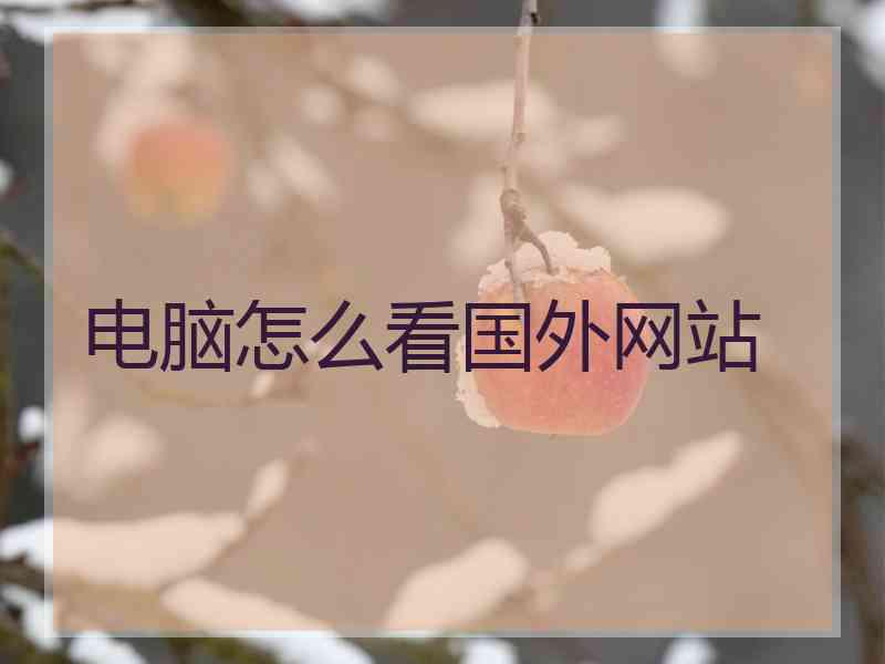 电脑怎么看国外网站