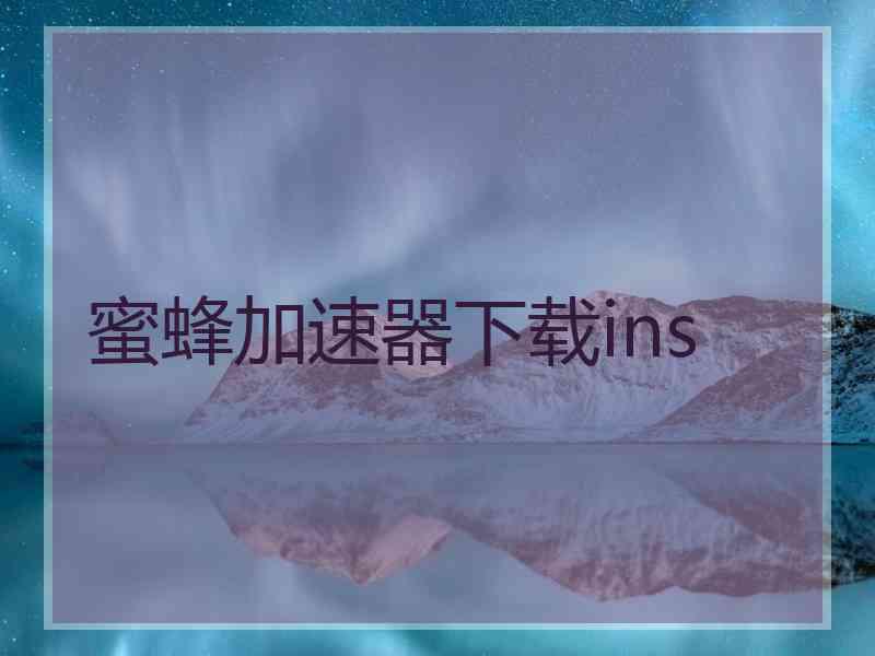 蜜蜂加速器下载ins