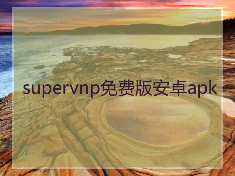 supervnp免费版安卓apk