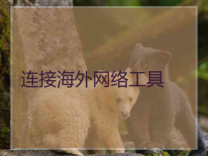 连接海外网络工具