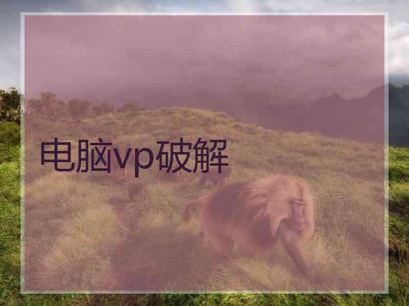 电脑vp破解