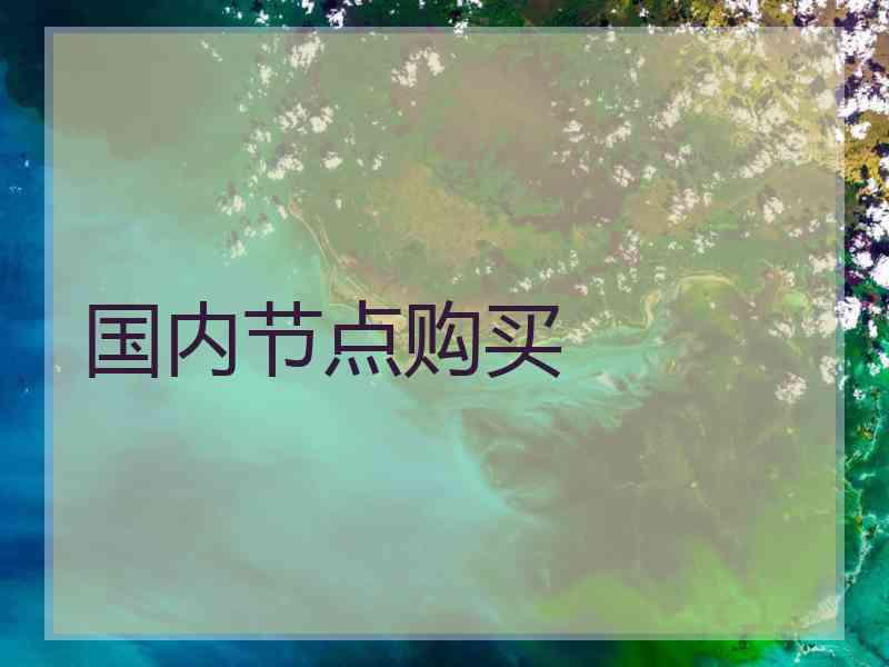 国内节点购买