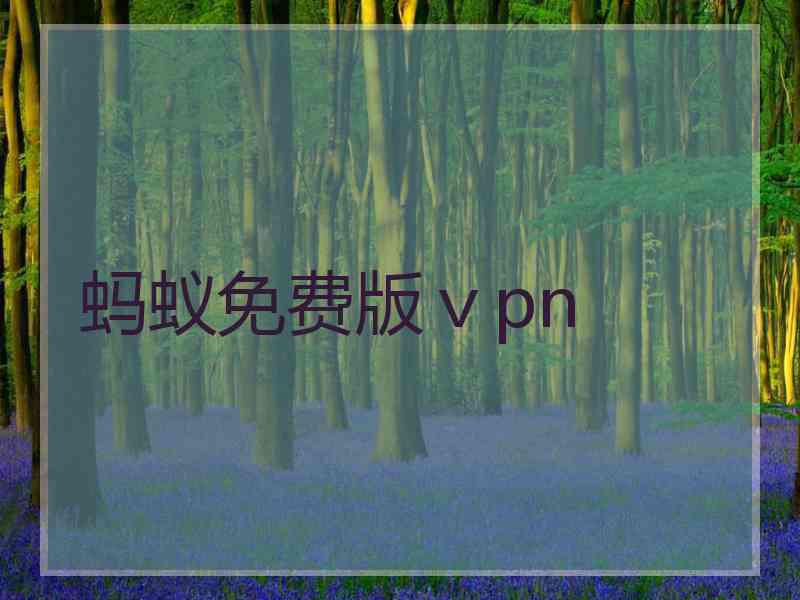 蚂蚁免费版ⅴpn