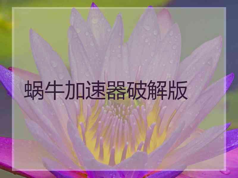 蜗牛加速器破解版