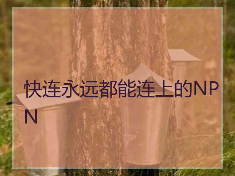 快连永远都能连上的NPN