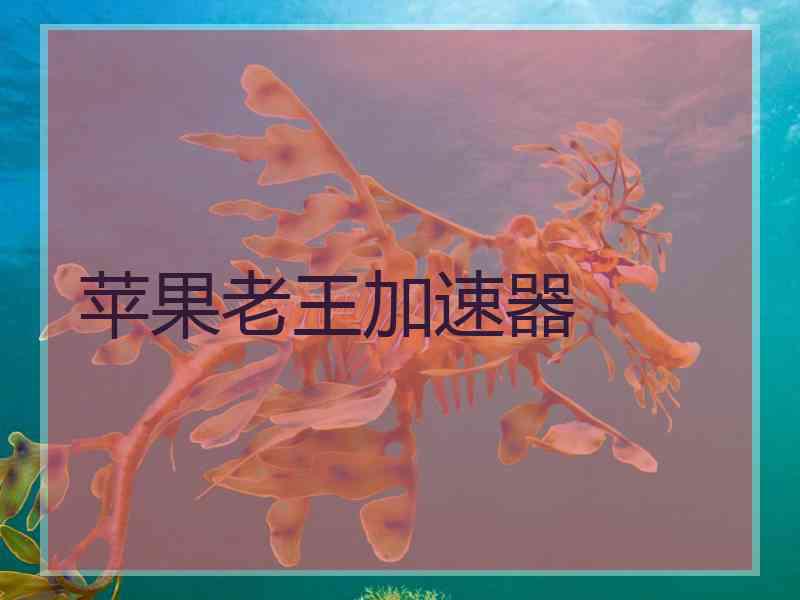 苹果老王加速器