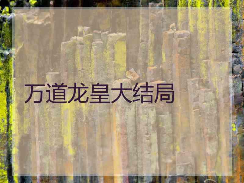 万道龙皇大结局