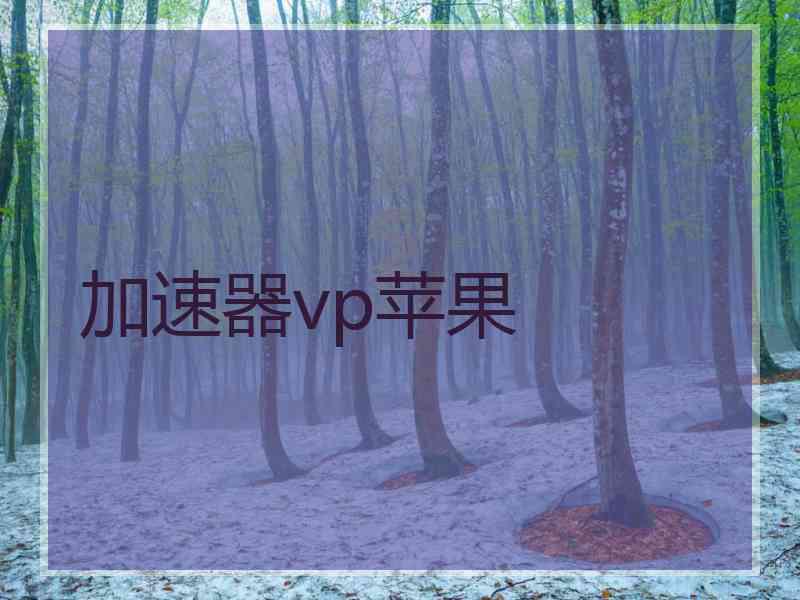 加速器vp苹果