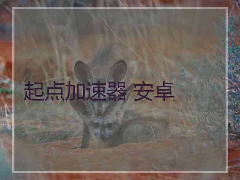 起点加速器 安卓