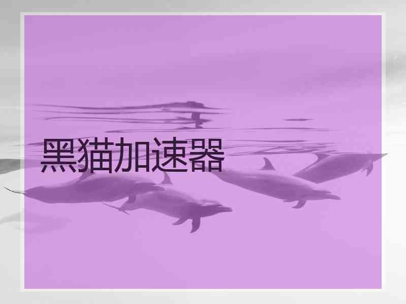 黑猫加速器