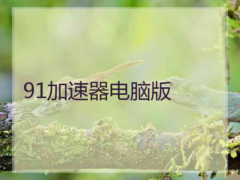 91加速器电脑版