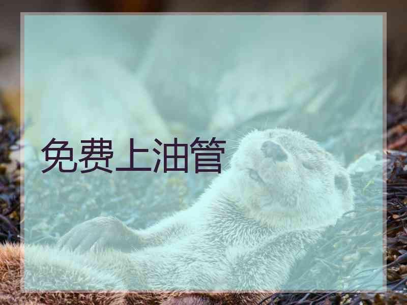 免费上油管