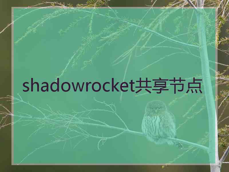 shadowrocket共享节点