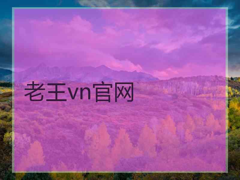 老王vn官网