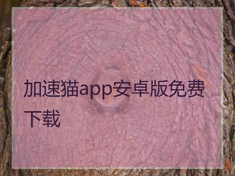 加速猫app安卓版免费下载