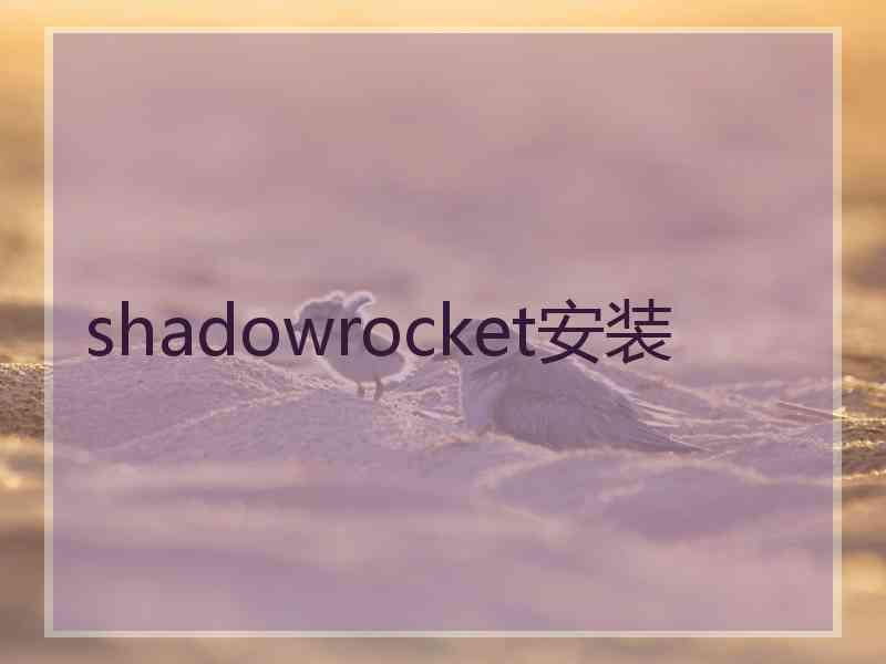 shadowrocket安装