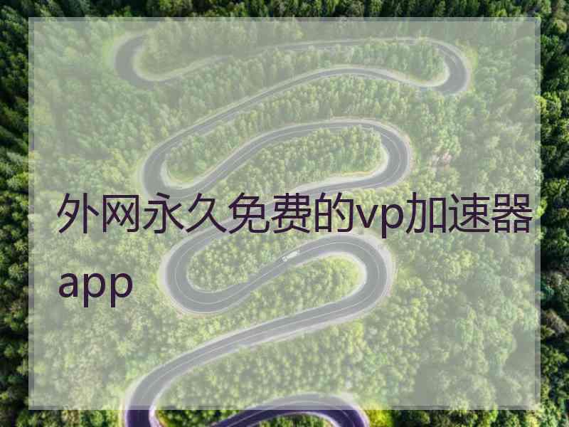 外网永久免费的vp加速器app